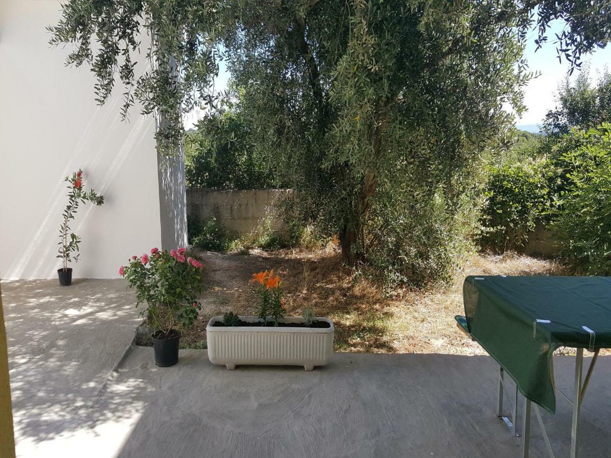Apartment Silvija Ližnjan المظهر الخارجي الصورة